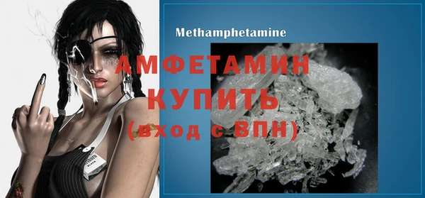 дмт Богданович