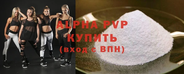 дмт Богданович