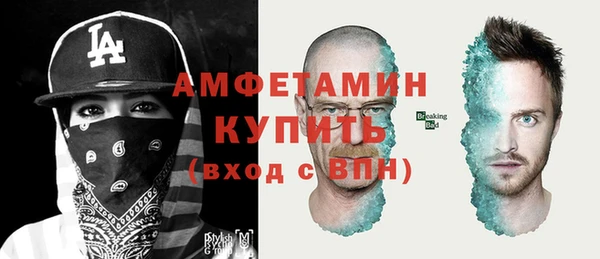 дмт Богданович