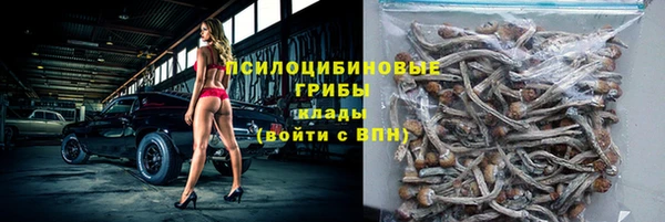 a pvp Богородицк