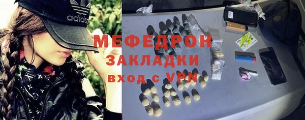 дмт Богданович