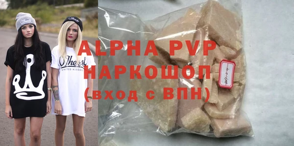 дмт Богданович
