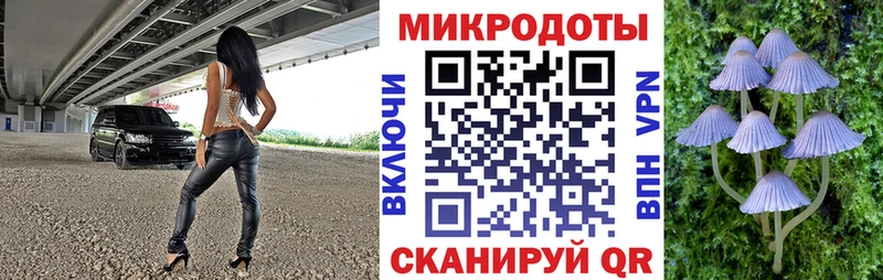 сайты даркнета формула  Малая Вишера  Псилоцибиновые грибы Magic Shrooms 