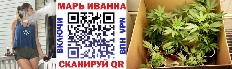 Шишки марихуана планчик хочу наркоту Малая Вишера
